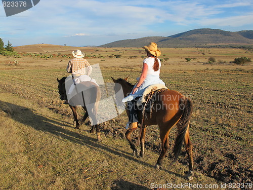 Image of Horseback riding