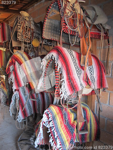 Image of Western saddles in tack room