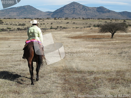 Image of Mexican rider