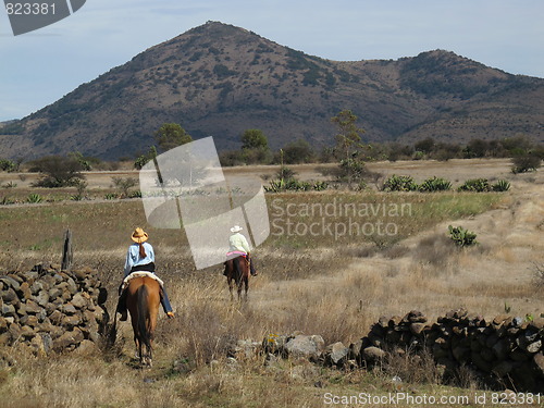 Image of Horseback riding