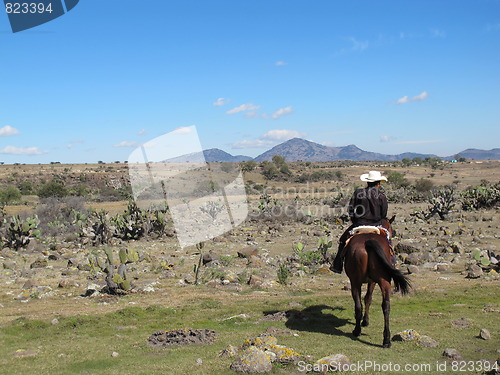 Image of Mexican rider