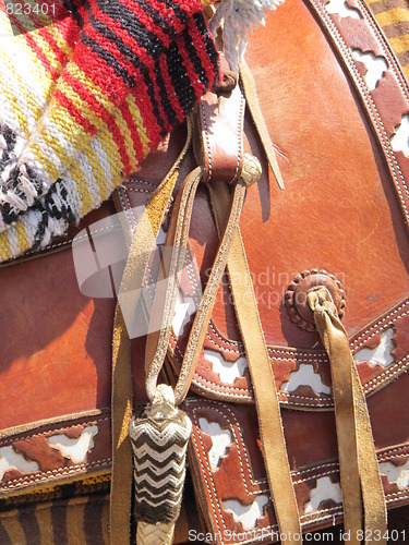 Image of Saddle details