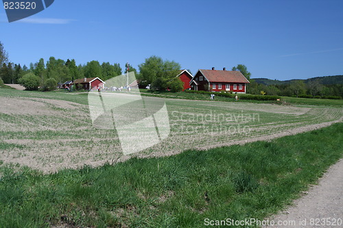 Image of Farmland