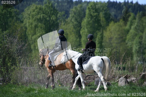 Image of Horse riding