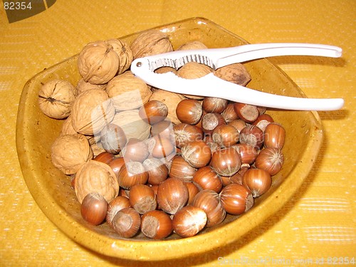 Image of Hazelnuts and walnuts