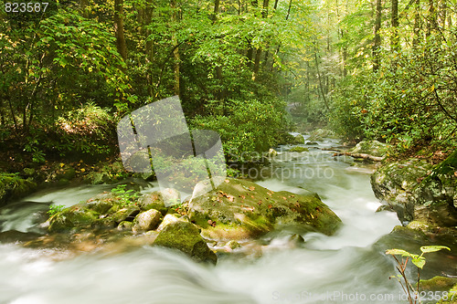 Image of Great Smoky Mountains national park