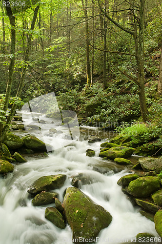 Image of Great Smoky Mountains national park