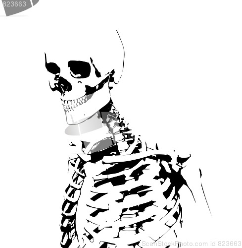 Image of Illustrated Skeleton