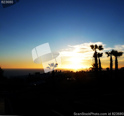 Image of Palm Tree Sunset