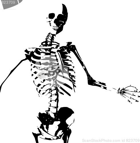 Image of Illustrated Skeleton