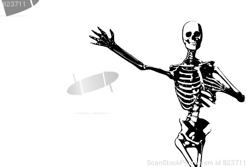 Image of Illustrated Skeleton