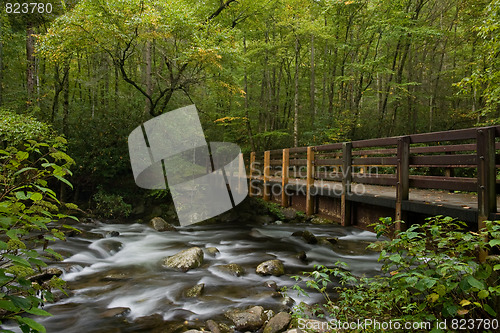 Image of Mountain stream