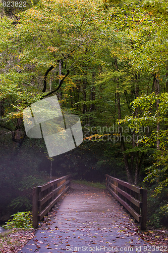 Image of Fog in Great Smoky Mountains