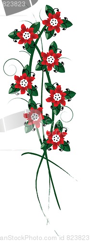 Image of Floral