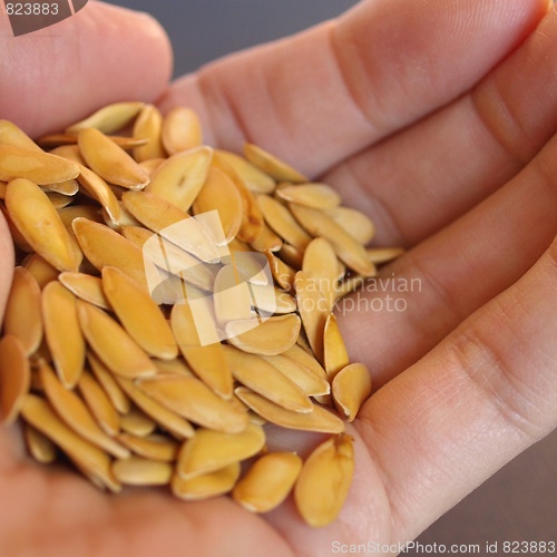 Image of Melon seeds