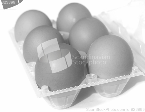 Image of Eggs