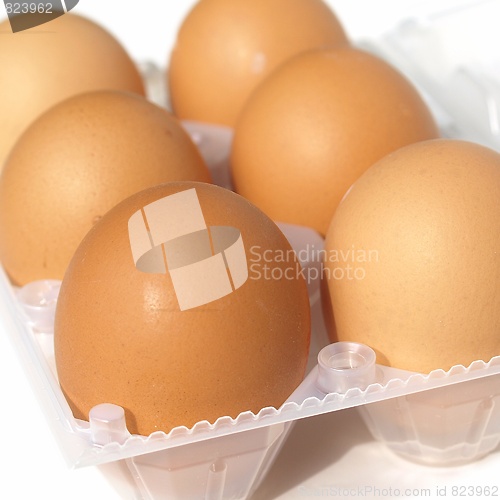 Image of Eggs