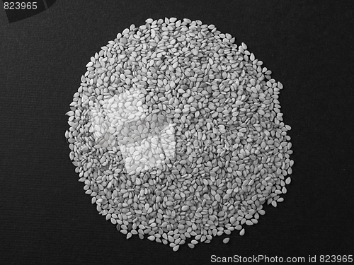 Image of Sesame seeds