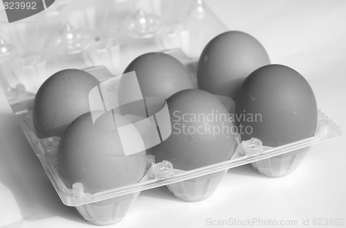 Image of Eggs