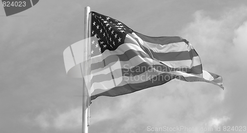 Image of USA flag