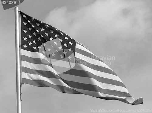 Image of USA flag