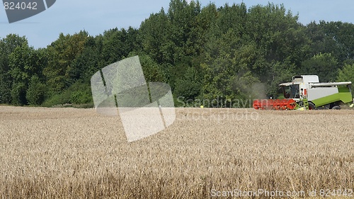 Image of Harvest