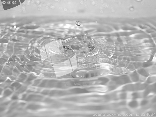 Image of Water droplet