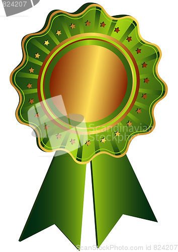Image of Bronze Award With Green Ribbon