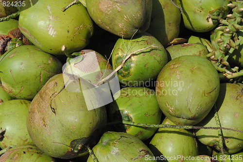 Image of coconut