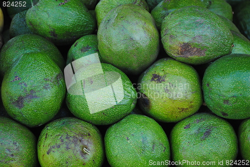 Image of avocado