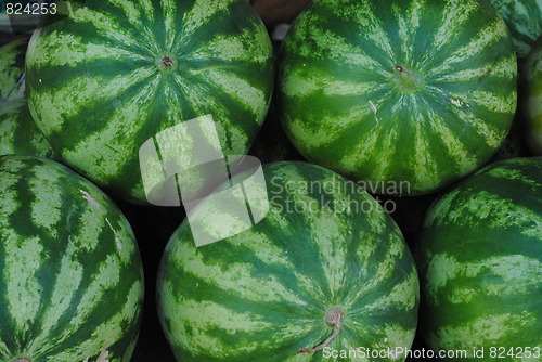 Image of watermelon