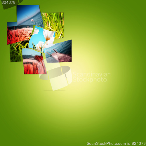 Image of Nature collage.