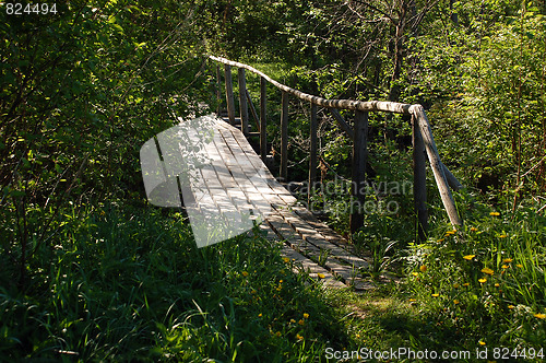 Image of Bridge in the Backwoods