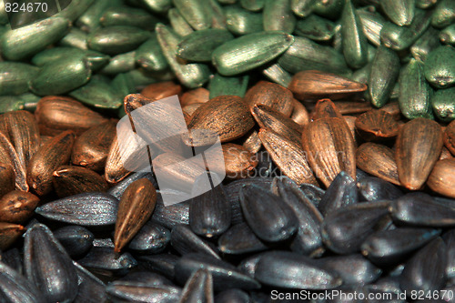 Image of sunflower seeds 