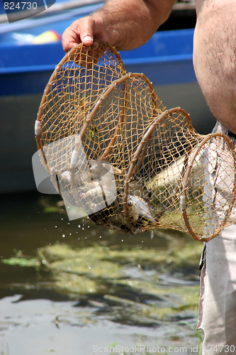 Image of fisherman