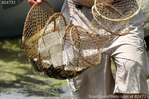 Image of fisherman