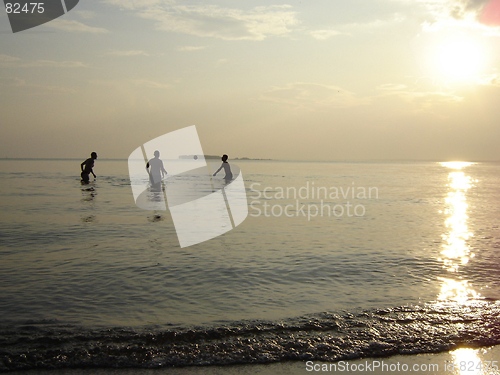 Image of Playing ball in water