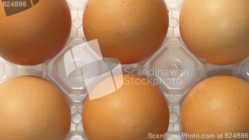 Image of Eggs