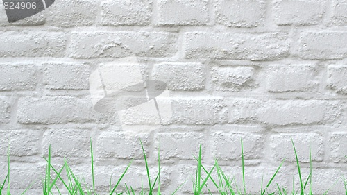 Image of Grass and wall