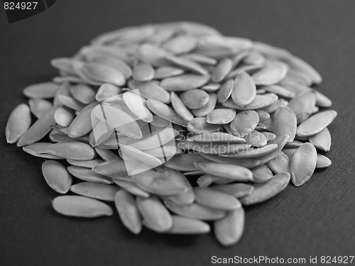 Image of Melon seeds