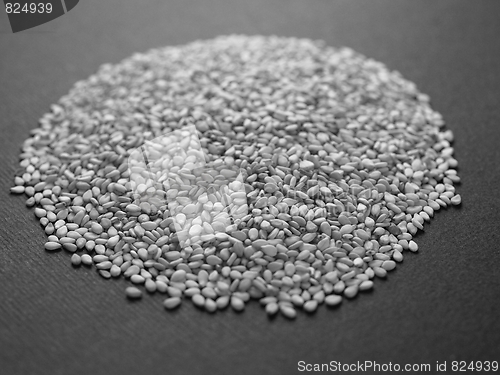 Image of Sesame seeds