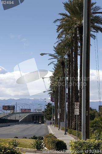 Image of Road with Palm Trees and Light Posts in Las Vegas