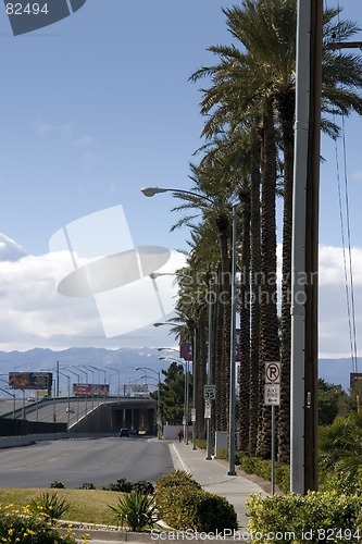 Image of Road with Palm Trees and Light Posts in Las Vegas