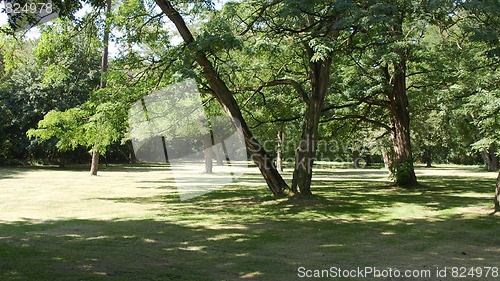 Image of Park
