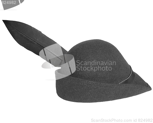 Image of Alpine cap