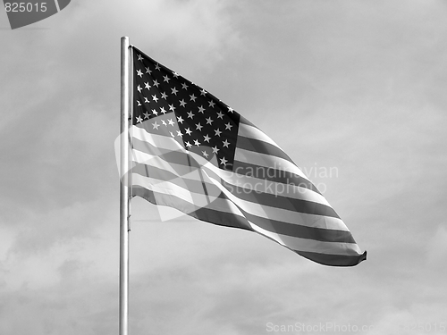 Image of USA flag