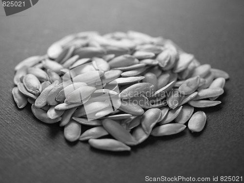 Image of Melon seeds