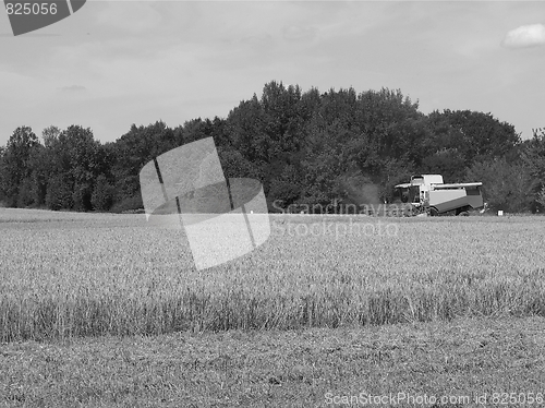 Image of Harvest