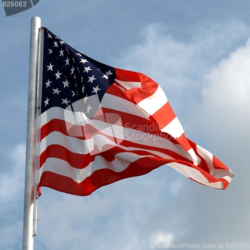 Image of USA flag