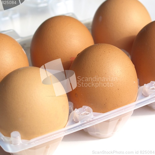 Image of Eggs